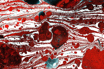 red and white abstract art, dynamic abstract artwork, red fluid patterns, white fluid patterns, intricate details, abstract painting, fluid art, red and white colors, abstract design, modern art, contemporary art