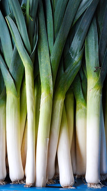 Porro, verdure, cibo, salutare, fresco, bio
