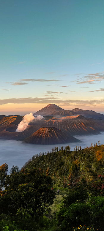 montare bromo, Indonesia, foresta, vulcani, vista aerea, vegetazione lussureggiante, Alba, nuvole, splendido paesaggio, bellezza naturale, destinazione del viaggio