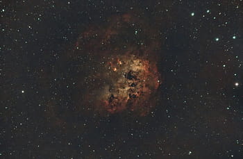 IC410, nebula, astrophotography, long exposure, WO 61, 183MC Pro, GEM28, Bortle 7.5, space, stars, processing