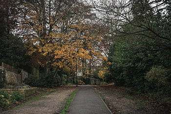 walkway, path, way, sidewalk, pathway, cycle, bicycle, walk, run, running, jogging