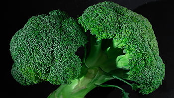 broccoli verdi, avvicinamento, vivace, fresco, biologico, sfondo scuro, cibo salutare, verdura, verdura verde, broccoli crudi, Focche di broccoli