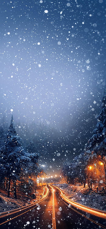 winter, snow, christmas, light, nature, forest, happiness, love, romantic