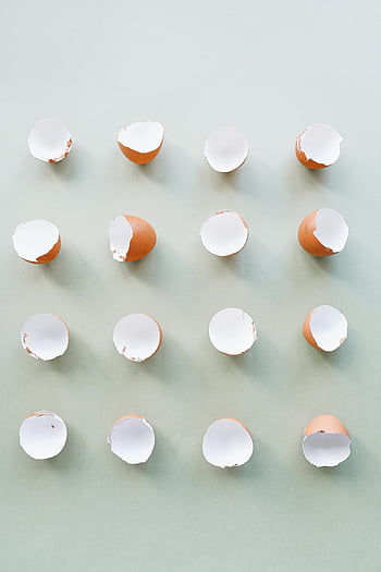 broken eggshells, plain background, minimalist arrangement, grid pattern, soft green surface, egg fragments, eggshells, green background, broken eggs, egg shells, minimalist design