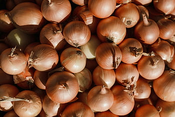 cibule, detailní fotografie, zářivá cibule, detailní cibule, čerstvé cibule, přírodní textura, cibulová textura, cibule detail, fotografie cibule, obrázek cibule, detail cibule