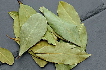 leaves, laurel, plants, herbs, bay Leaf, spices, cooking, dish, bay, allspice, food
