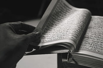 al-Qur'an, tulisan suci, agama, Islam, Muslim, quran, suci, Ramadan, Baca baca, Membaca, Arab