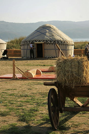 yurt, field, cart, hay, rural landscape, traditional yurt, wooden cart, pastoral life, serene landscape, hay bales, countryside scene