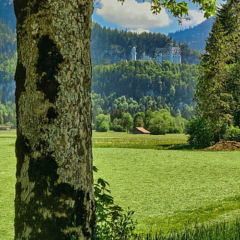 hrad, neuschwanstein, bavaria, Německo, allgäu, pohádka, budova, Příroda, hora, idylický, mezník