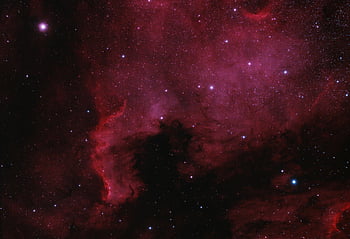 severní mlhoviny, vysoké rozlišení, zářivé barvy, hvězd, vesmír, vesmírný, kosmická fotografie, astronomický, Obrázek mlhoviny, galaxie, nebeský