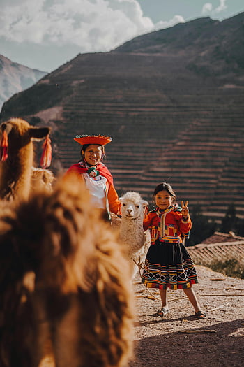 Peruvian woman, traditional clothing, girl, alpacas, llamas, Pisac, Cuzco, cultural heritage, hill, mountain, Peru