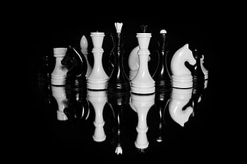 chess, chess Pieces, checkmate, game, board Games, king, queen, black Background, nature, horse, reflection