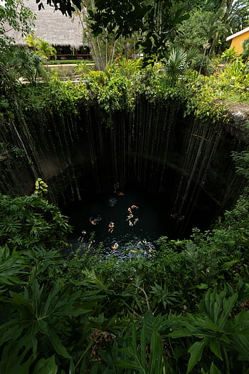 Cenote ik kil, hoge hoekmening, weelderig groen, diepe wateren, Tinum gemeente, yucatan, Mexico, adembenemend gezichtspunt, Natuurlijk zinkgat, zwemmen, tropische vegetatie