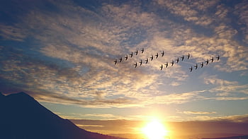 birds flying, sunrise sky, mountain silhouette, flock of birds, vibrant sunrise, flying birds, sky over mountains, bird migration, nature scene, wildlife photography, sunset landscape