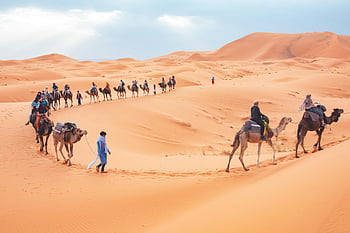 camel riding, desert, Merzouga, Morocco, sand dunes, tourists, camel tour, scenic, adventure, travel, Sahara