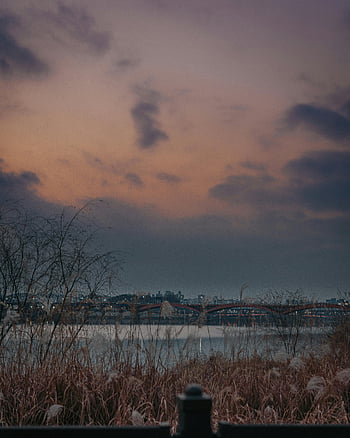 hnědá tráva, modrá obloha, Han řeka, Soul, Jižní Korea, západ slunce, klidný soumrak, panorama města, voda, horizont