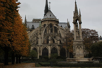 Cattedrale di Notre Dame, Parigi, Francia, Cattedrale, Chiesa, Notre Dame, cattolico, turismo, religione, Gotico, religioso