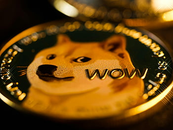 dogecoin, kapatmak, Vay metin, Shiba Inu, cryptocurrency, madeni para, dijital para, kripto, blockchain, maliye, yatırım