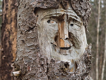 craft, sculpture, carving, face, wooden Figure, carved, wood, wood Carving, artistic, to Carve, figure