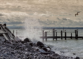 water Splash, seagull, pier, waves, water, spray, stones, stone Beach, bank, coast, sea
