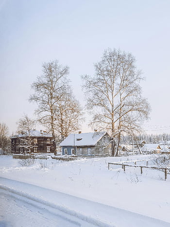 snow covered village, winter landscape, idyllic snowy village, houses in snow, bare trees, clear winter sky, rural winter scene, snow-covered houses, winter village, snowy countryside, winter scenery
