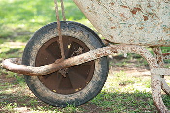 wheelbarrow, gardening, garden, work, rake, tools, shovel, spade, nature, plant, gardener