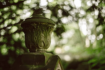 hřbitov, náhrobek, bokeh, zelená, hloubka pole, Planar t, 1.4, 50 mm, ZF.2, bokehlicious, bokeh koule