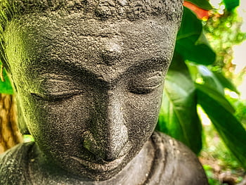 Buddha, jóga, rozjímání, zen, relaxovat, Buddha Purnima, duchovní, umění, modlitba, socha, čakra