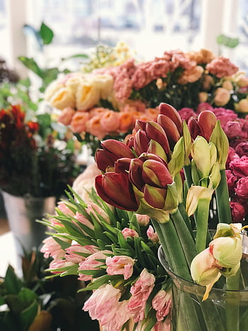 Selektiv fokusfotografering, lyserøde blomster, røde blomster, levende blomster, friske blomster, indendørs blomster, blomster arrangement, floral display, farverige blomster, buket, indendørs planter