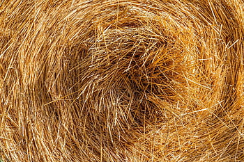 Stroh, Strohballen, Ballen, trocken, Stiele, Landwirtschaft, Ernte, Feld, Natur, geerntet, runde Bälle