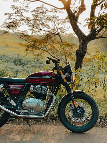 Royal Enfield Interceptor 650, gt, motorcykel, udendørs landskab, maleriske, træer, natur, vej, klassisk cykel, årgang, naturskøn