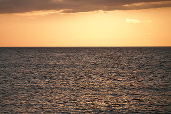 海、 地平線、 日没、 日の出、 真夜中の太陽、 黄、 ゴールド、 広がり、 見る、 自然、 風景