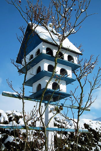 birdhouse, winter, snow, sky, garden, nature, wood, trees, bare Trees, snowy, hoarfrost