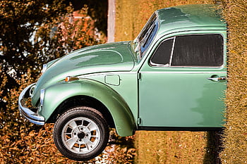 automobile, antique Car, classic, vw Beetle, meadow, landscape