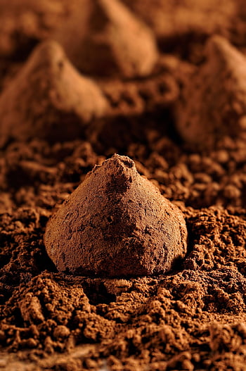 truffles, cocoa, chocolate, delicious, sweet, manufacturing, manually, handmade, candy, product Photo, food Photography