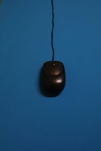 mouse del computer nero, superficie blu, mouse con filo, design minimalista, vibrante blu, oggetto isolato, design semplice, computer periferico, topo nero, sfondo blu, accessorio tecnologico
