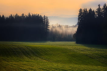 krajina, Příroda, podzim, bavaria, Německo, strom, les, opar, soumrak, louka, kopec