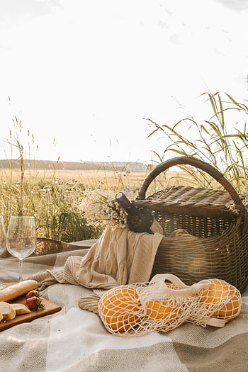picnic, grassland, wicker basket, wine, oranges, bread, countryside field, tranquil scene, outdoor dining, nature, picnic blanket