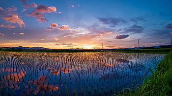japan, kumamoto, natural, sunset, yamada's Rice Fields, countryside, cloud, sun