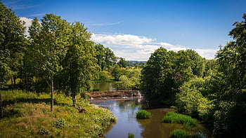 alnwick, northumberland, river, trees, england, nature, forest, landscape, weir, water, aln