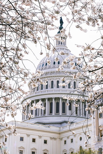 capitale, Stati Uniti d'America, governo, punto di riferimento, America, sfondo del telefono, architettura, Washington, congresso, senato, costruzione