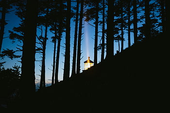 silhouette of trees, forest, lighthouse, twilight, serene view, illuminating light, tree silhouettes, evening scene, natural landscape, outdoor scenery, dusk atmosphere