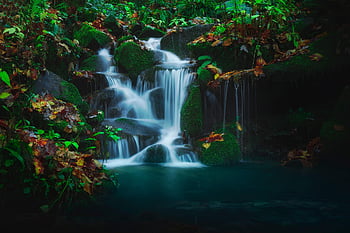 waterfall, stream, forest, river, rocks, moss, fall, leaves, nature, falls, water