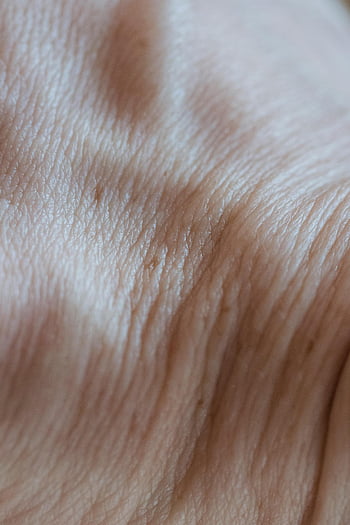 human skin, macro shot, skin texture, skin wrinkles, detailed skin, close-up skin, human hand, skin detail, skin close-up, skin macro, skin texture close-up