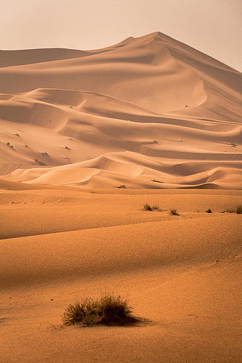 desert, sand dunes, Sahara Desert, arid landscape, vast desert, desert scenery, desert photography, desert environment, desert beauty, desert landscape, desert sand