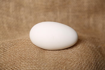 Ei, Ostern, Frühling, Entenei