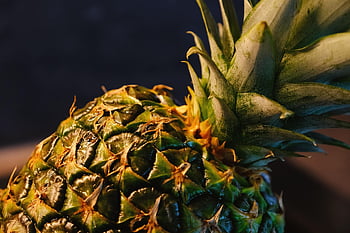 pineapple, fruit, tropical, meal, food, cute, healthy, fresh, vitamins, yummy, ripe