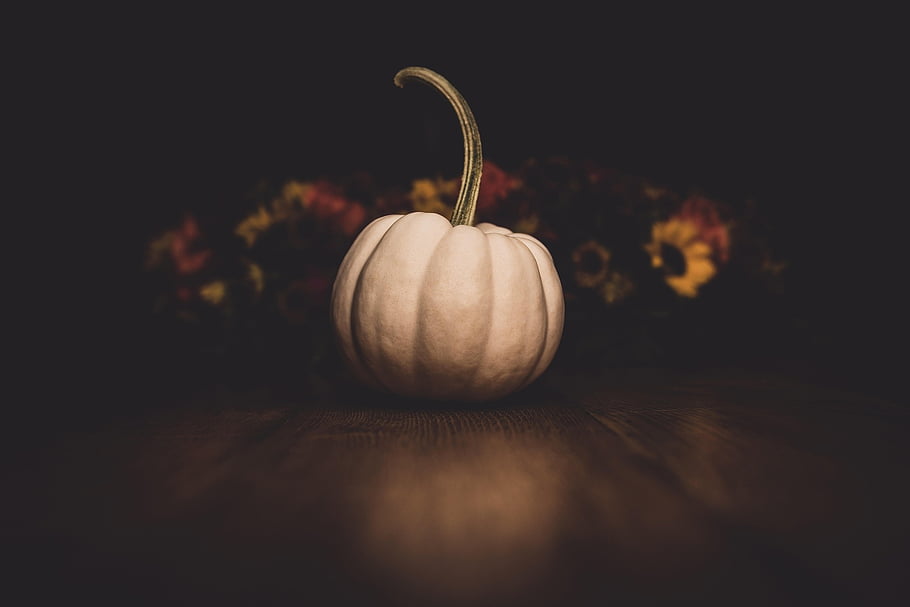 pumpkin, white, white Pumpkin, ghost Pumpkin, halloween, thanksgiving, harvest