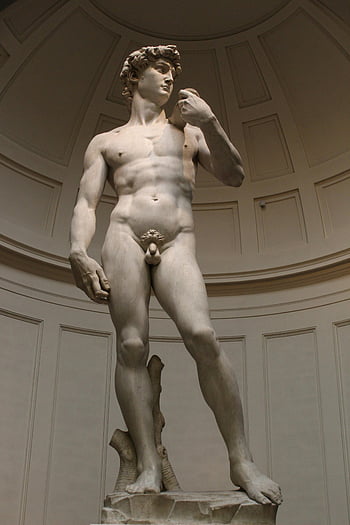 David, Michelangelo, marble statue, iconic, indoors, Florence, Italy, Renaissance, sculpture, art, museum