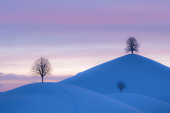 bakker, vinter, solnedgang, sne, træer, frost, vinterlige, kold, sne landskab, landskab, naturskøn